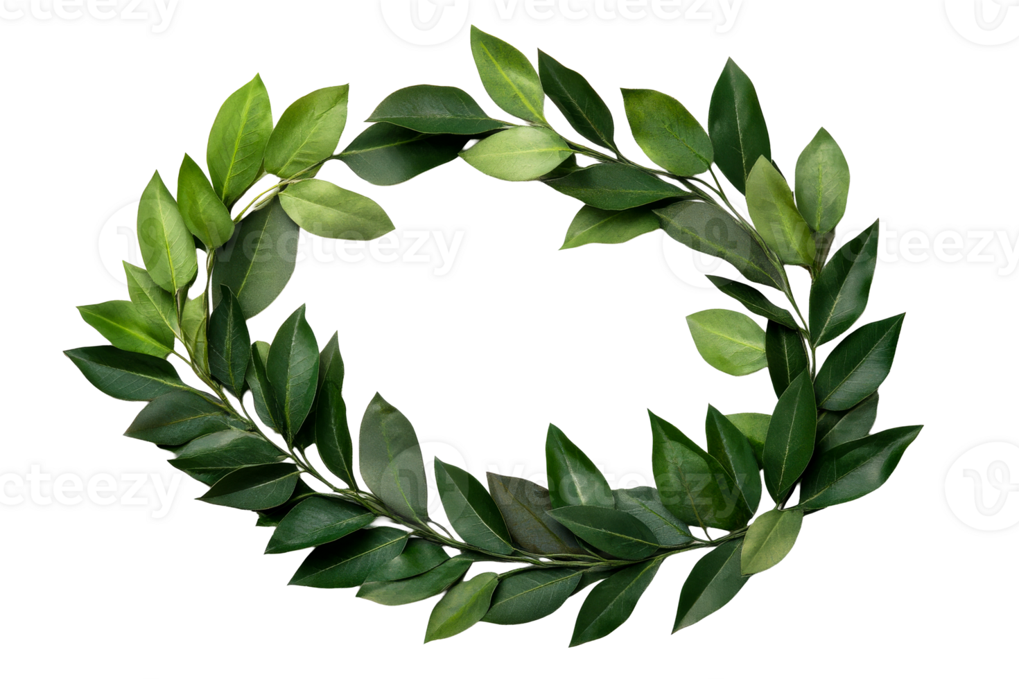 Decorative green leaf wreath with a transparent background png