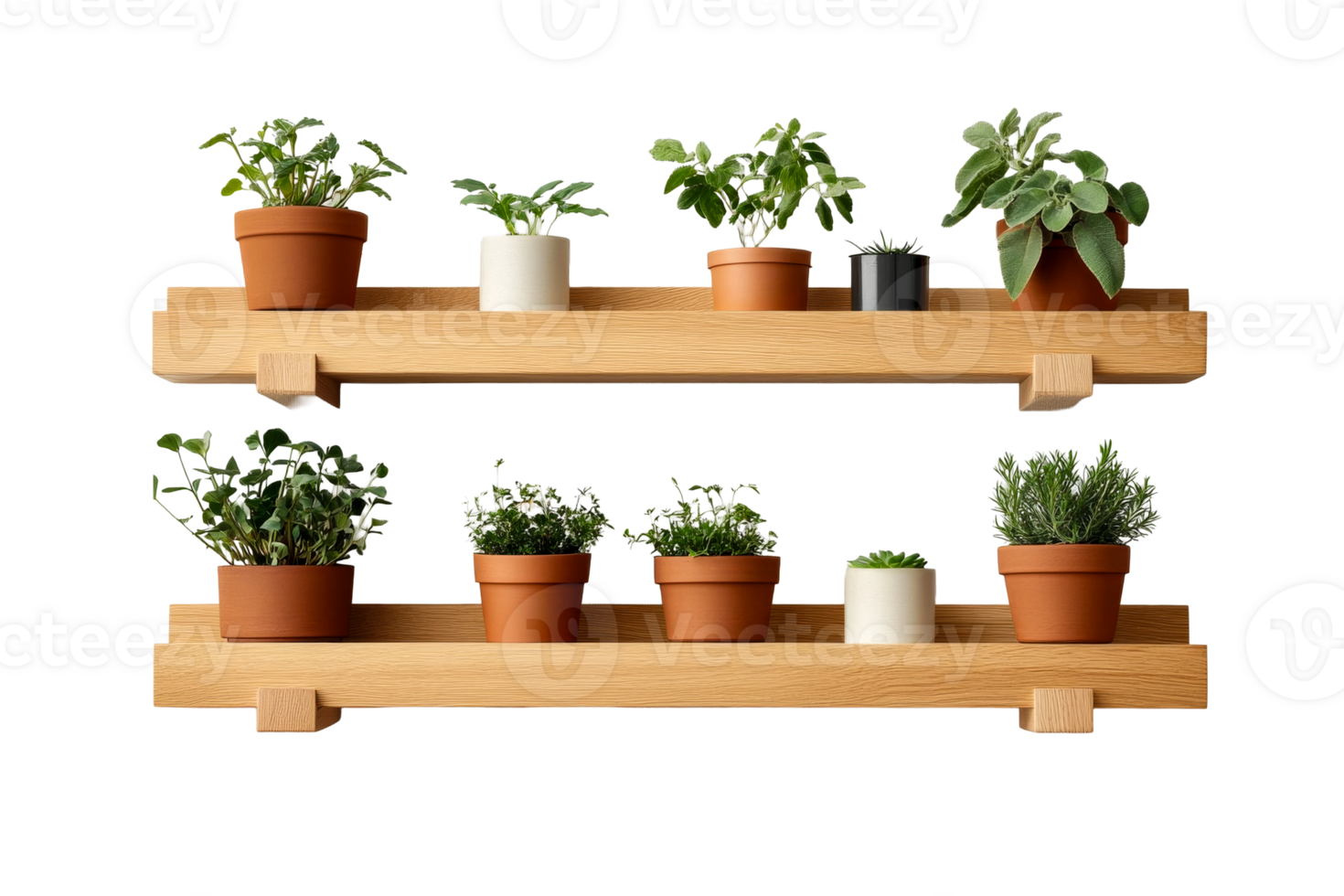 Indoor plant display on wooden shelves with terracotta pots png