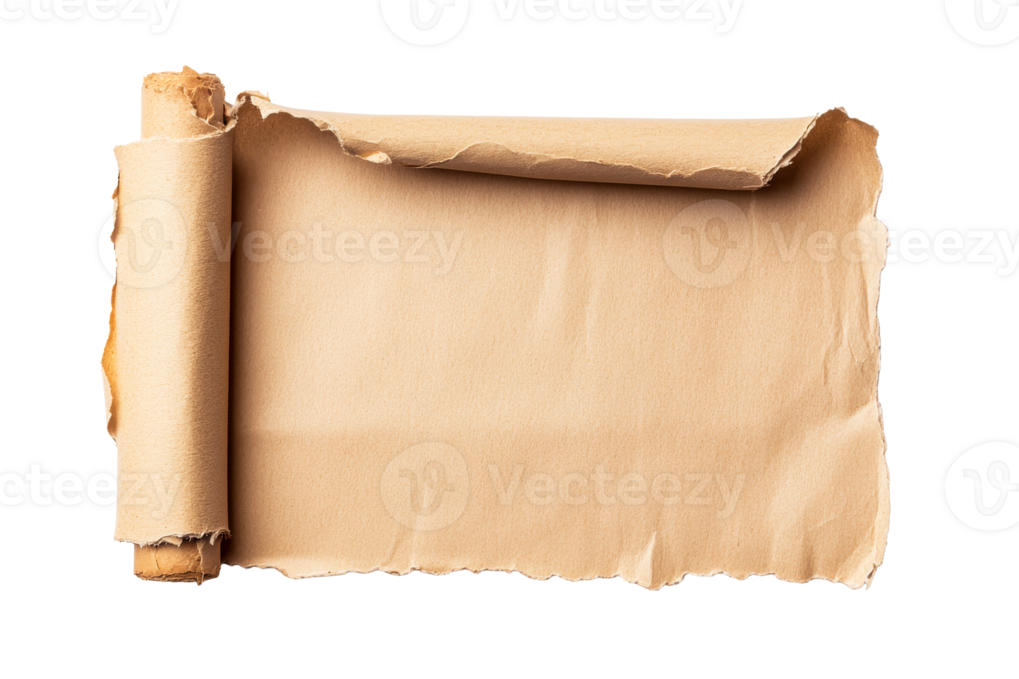 Torn edge scroll on transparent background png