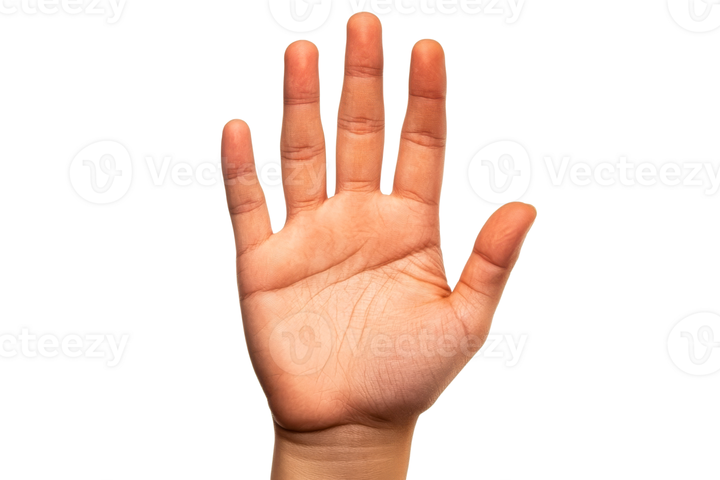 Hand gesture displayed with open palm on a transparent background png