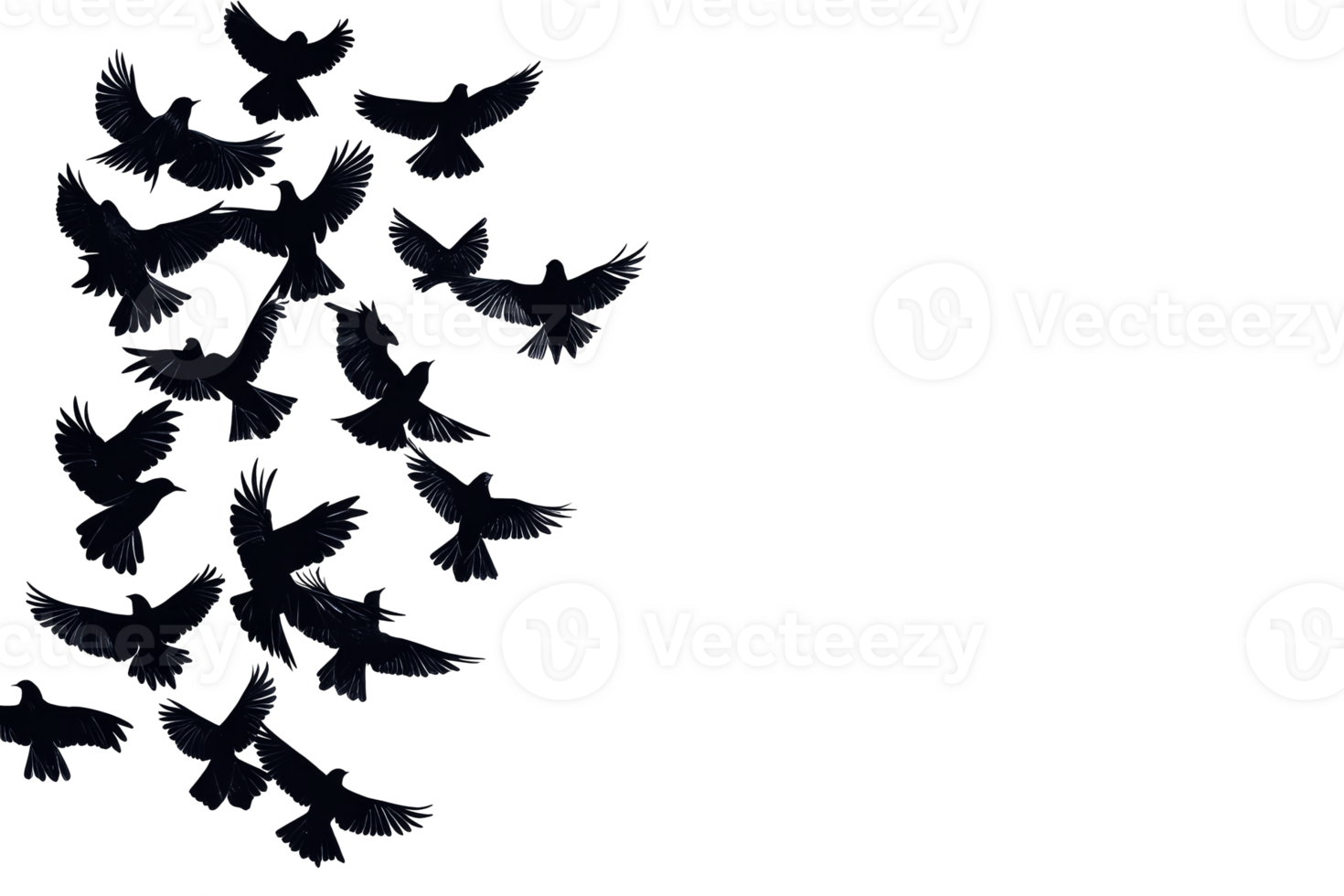 Birds in flight with transparent background for creative use png