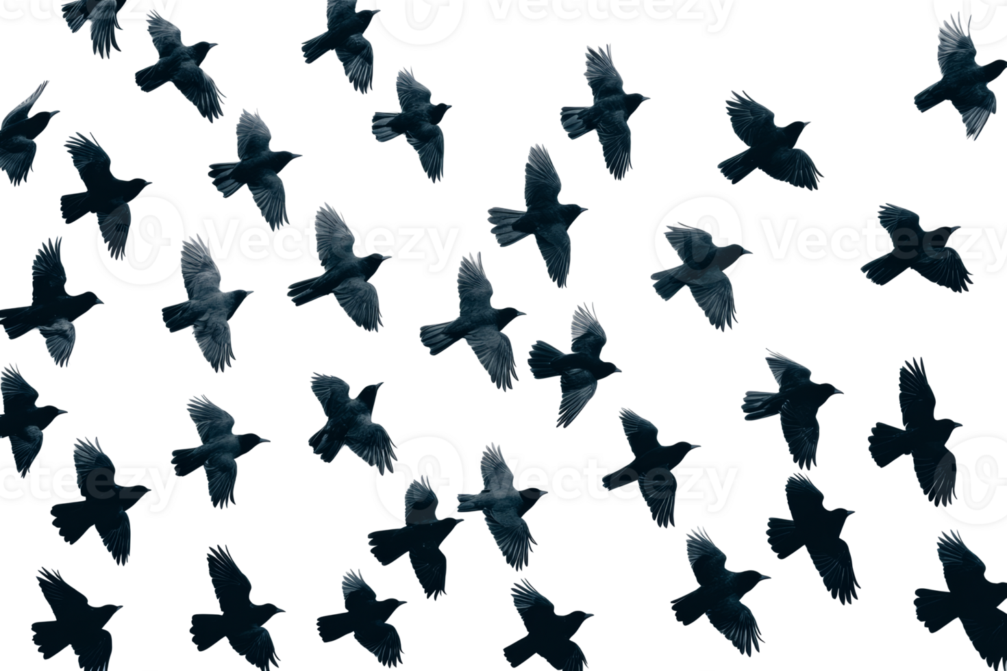 Flocks of birds flying against a transparent background png
