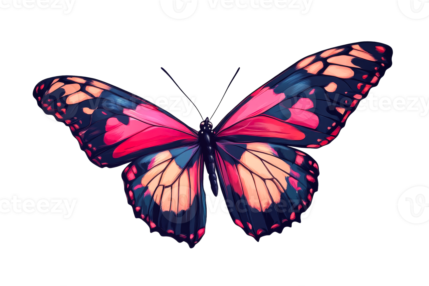 Bright butterfly with pink and blue wings on a plain background png