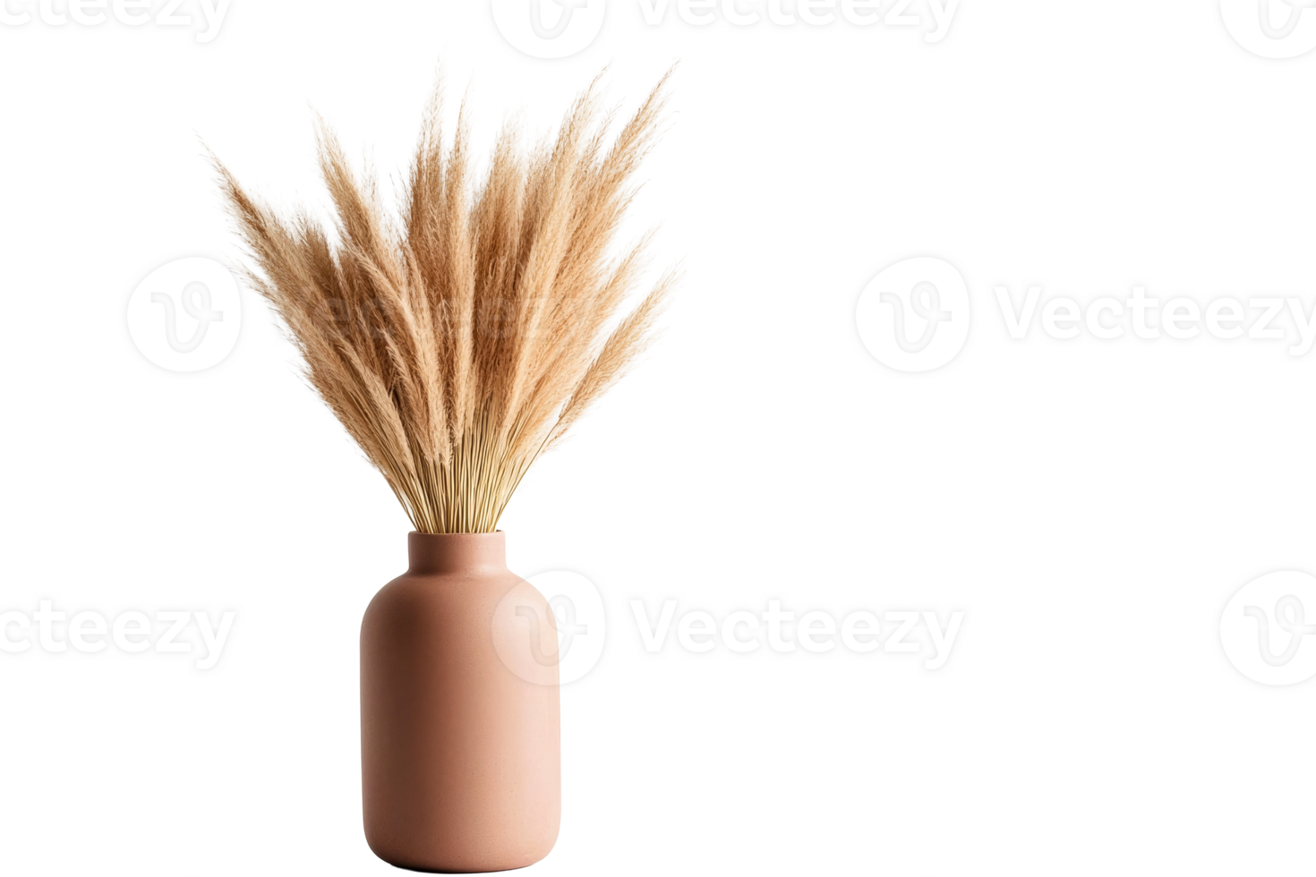 Pampas grass in a modern vase on a transparent background png