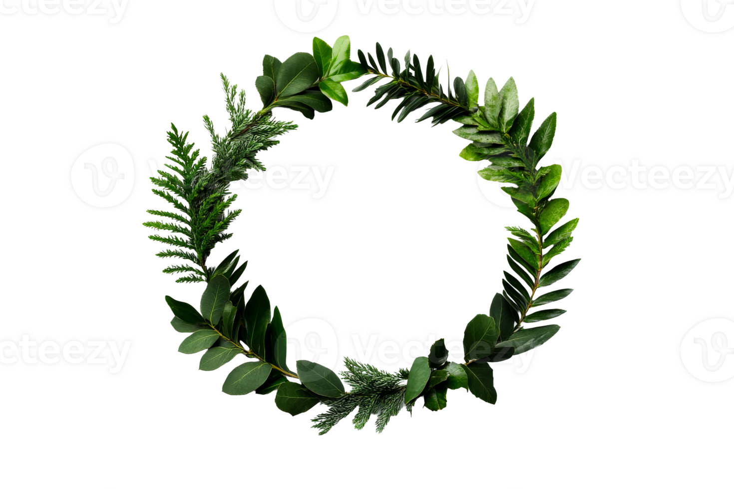 Elegant green wreath showcasing various leaf types on clear background png