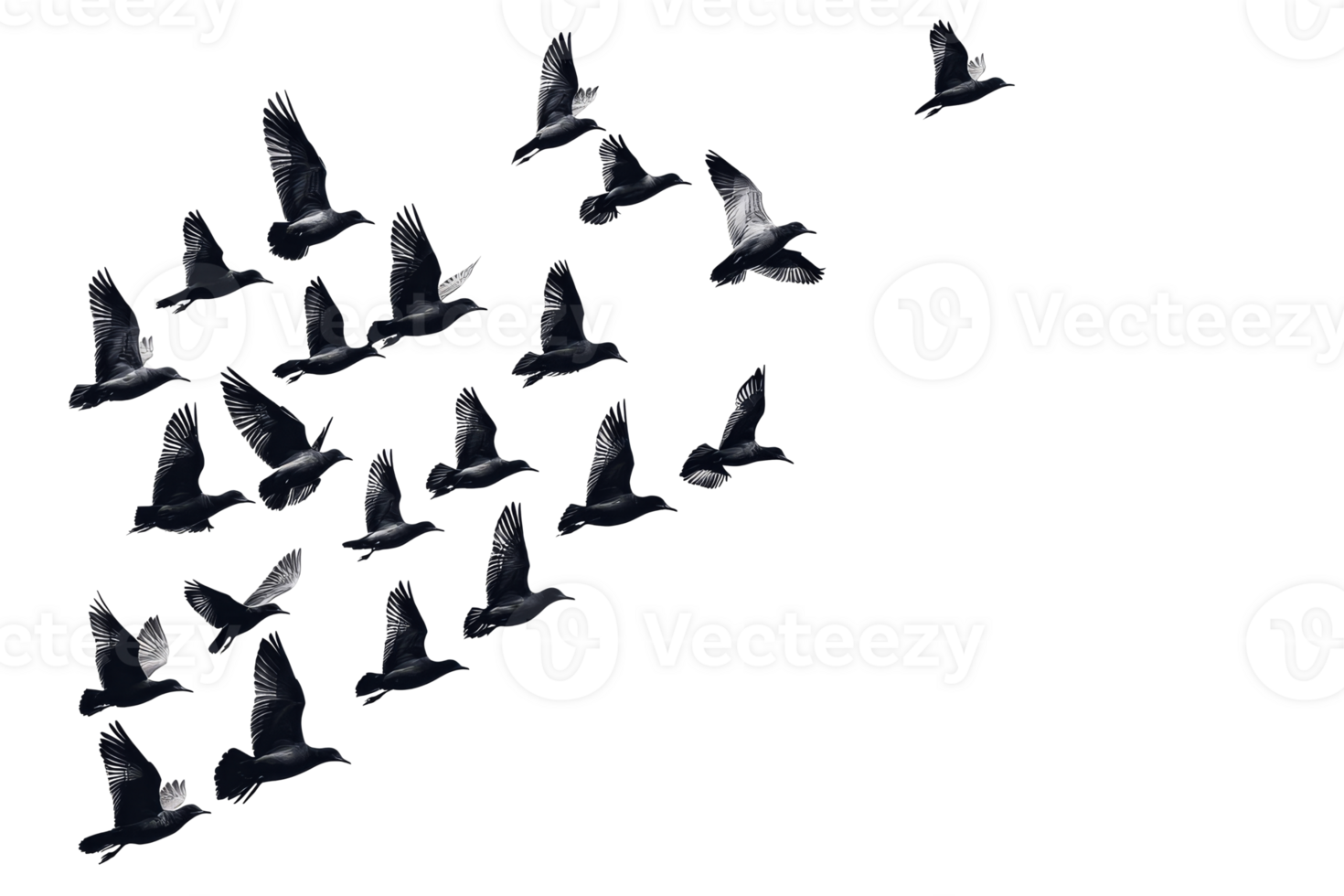 Birds flying in formation against a transparent background png