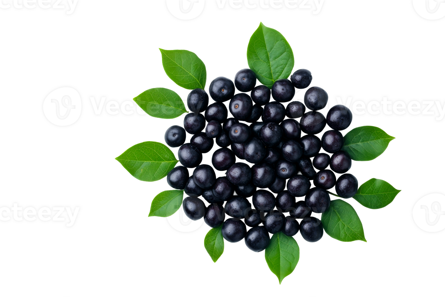 Black currants and green leaves on a transparent background png