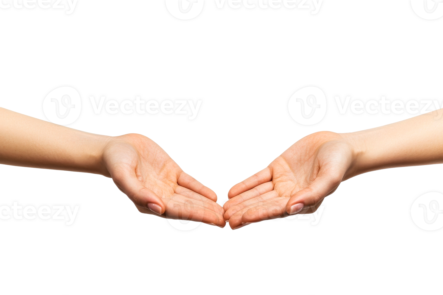 Open hands ready to receive or offer assistance in a simple gesture png