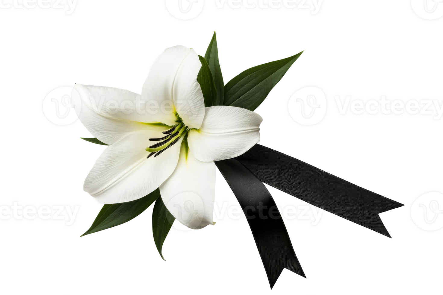 Elegant white lily with black ribbon pays tribute png