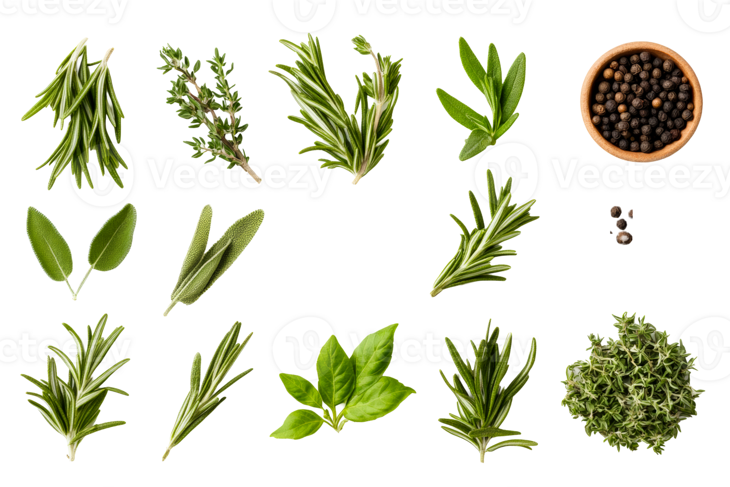 Fresh herbs arranged on a transparent background for culinary use png