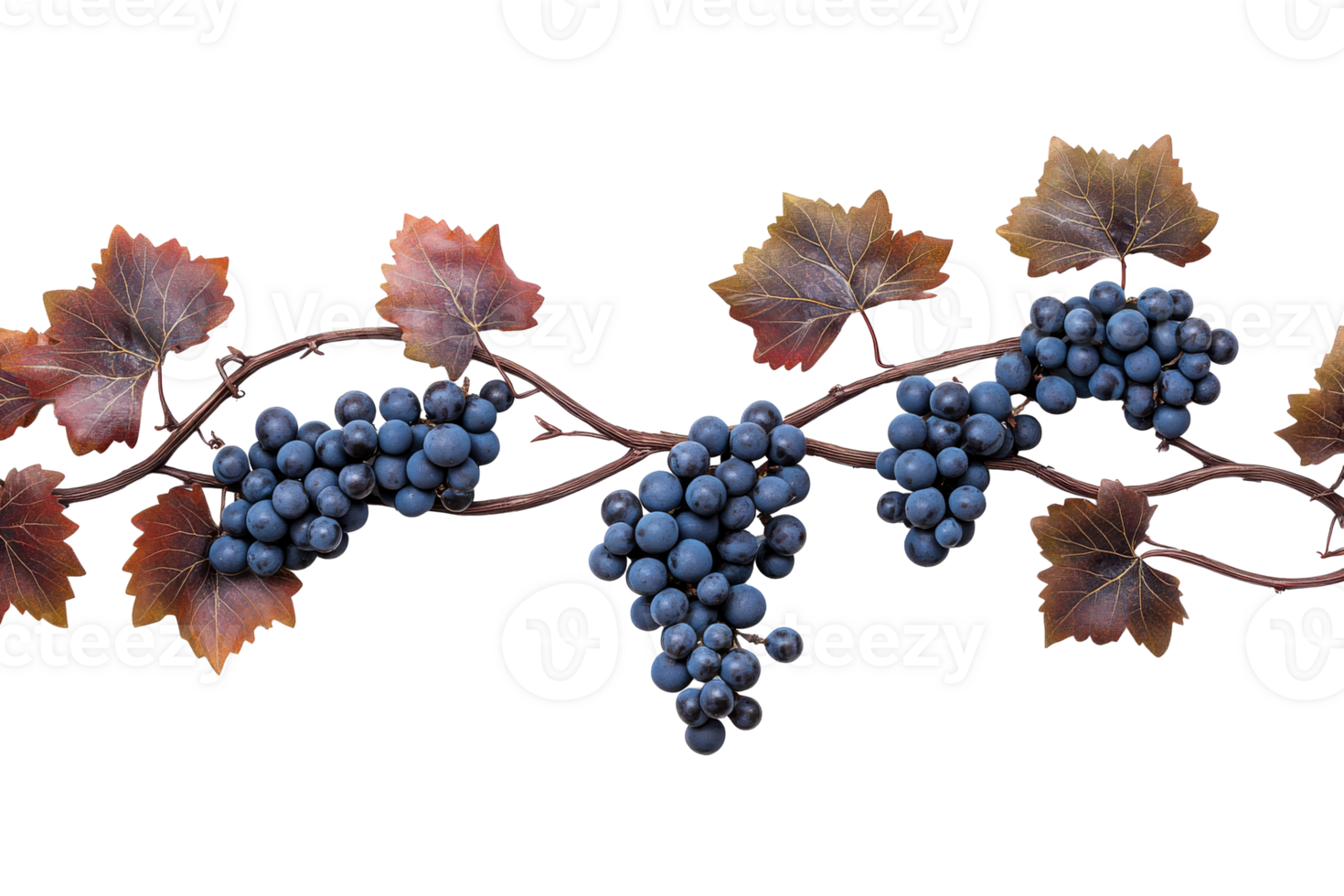 Unique bunch of grapes with leaves on transparent background png