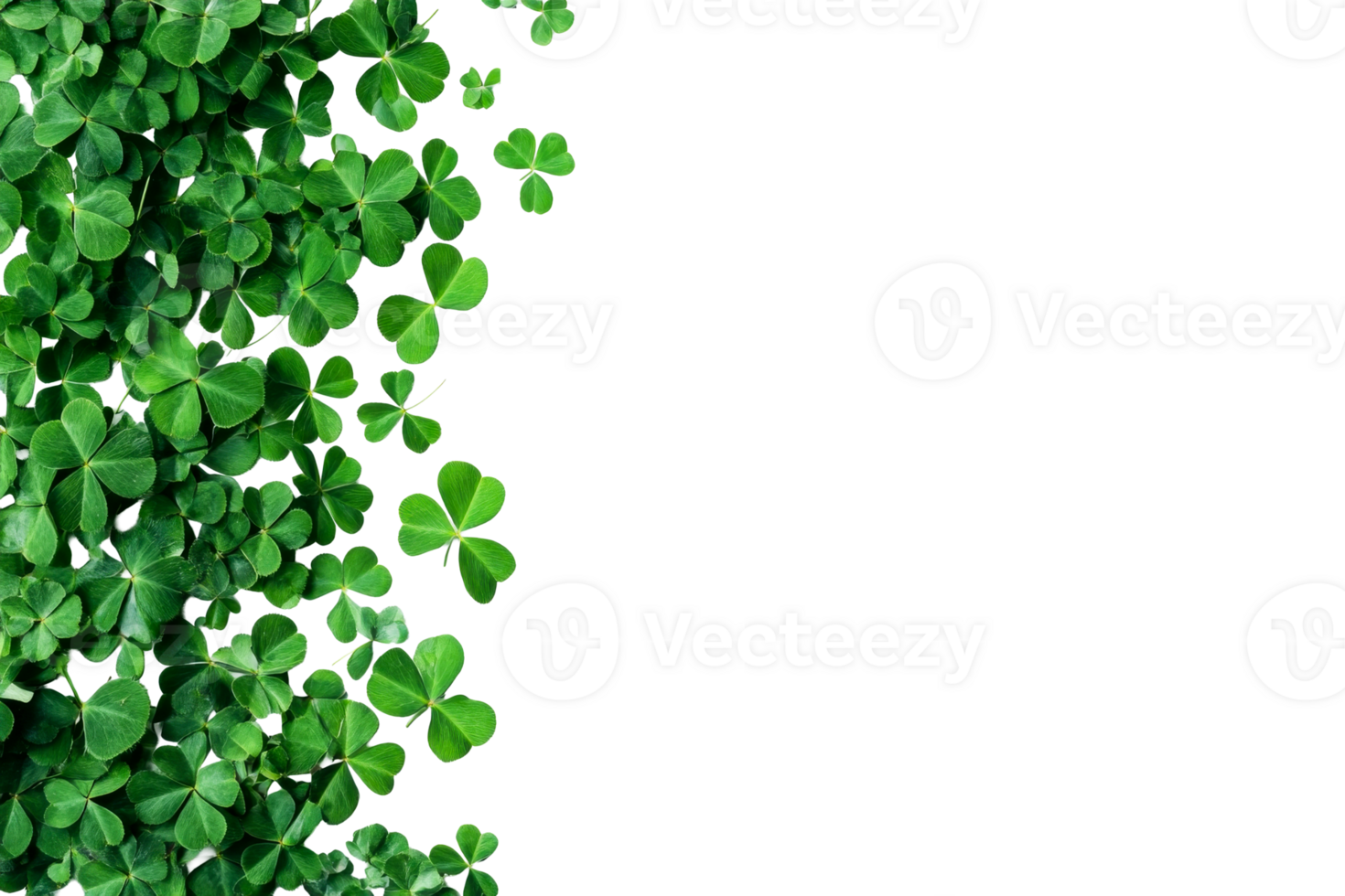 Clovers scattered on a transparent background for decoration png