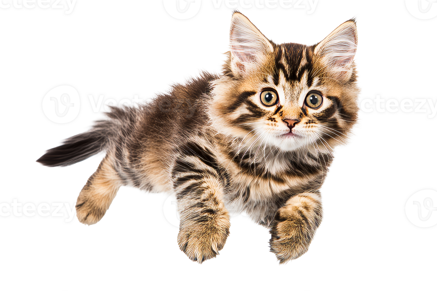 Playful kitten leaps with energy across a clean surface png