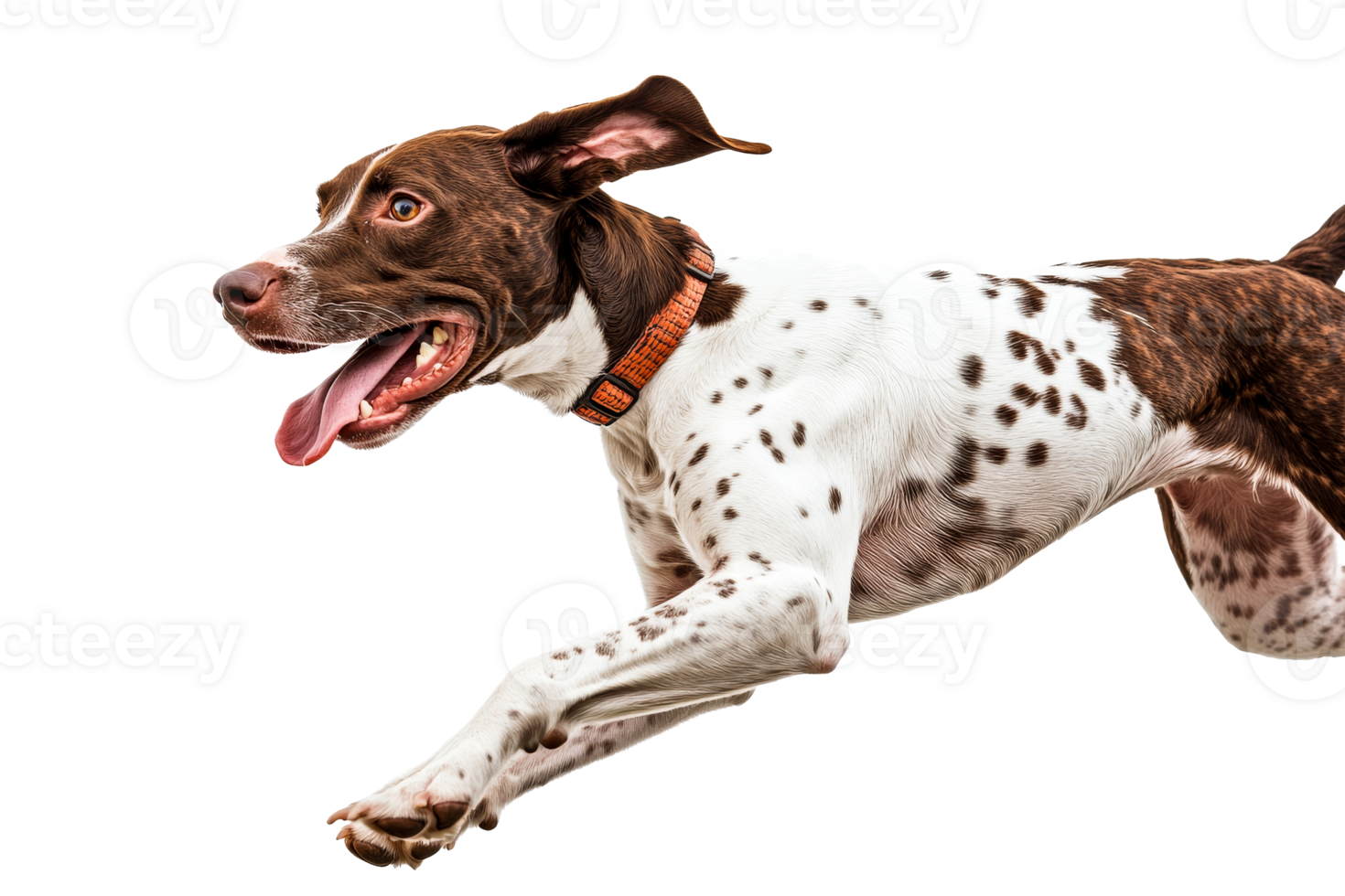 Dog running joyfully in mid air with a big smile png