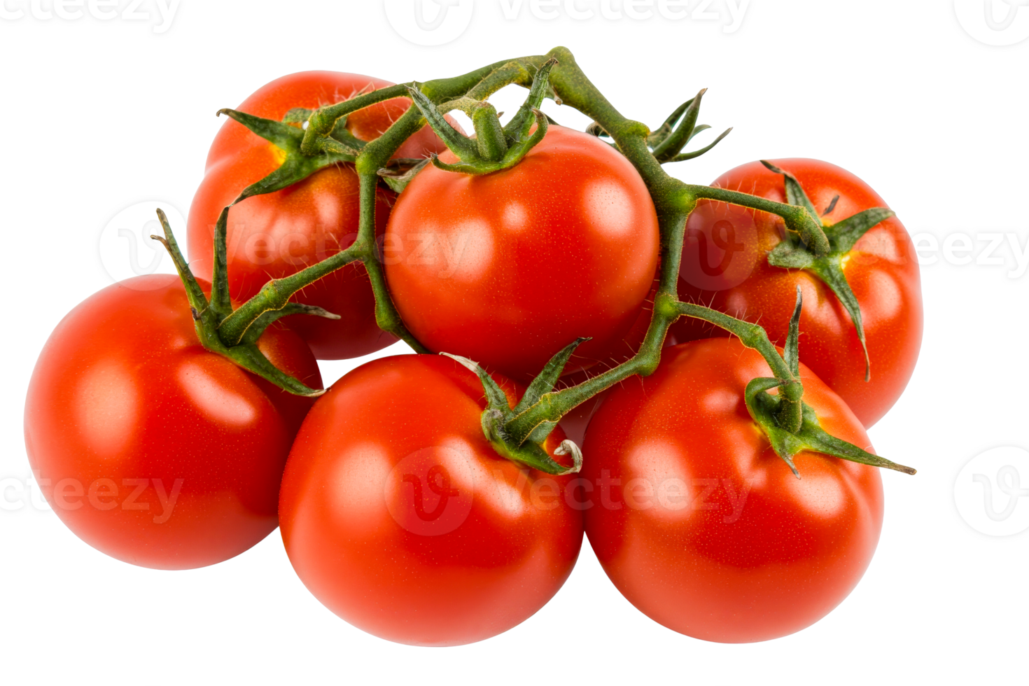 Vine tomatoes on branch, isolated against black background, cut out transparent png