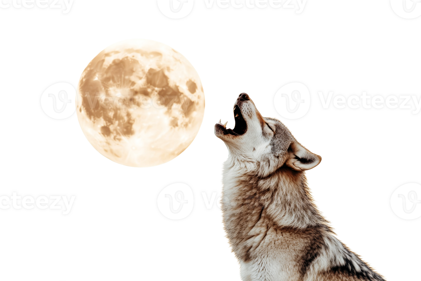 Wolf howling to moon, lupine animal silhouette, cutout transparent png