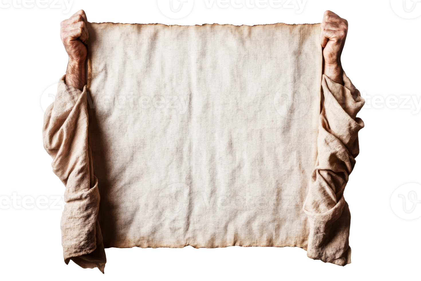 Man holds weathered scroll, manuscript display, presentation, cut out transparent png