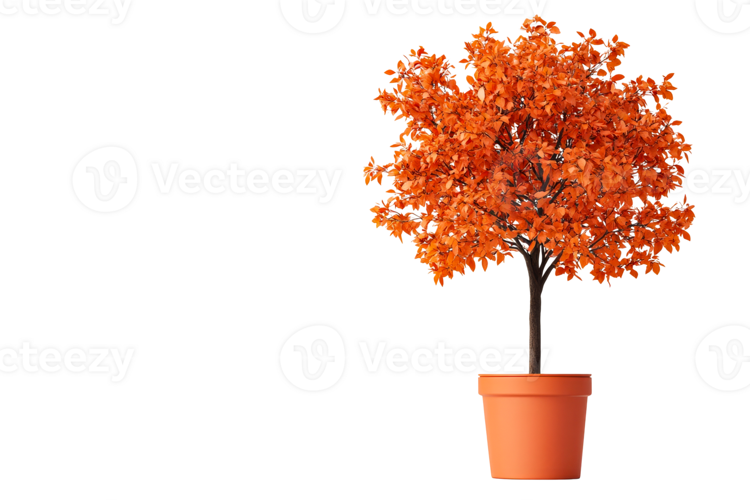 Autumn potted tree plant with orange leaves, cut out transparent png