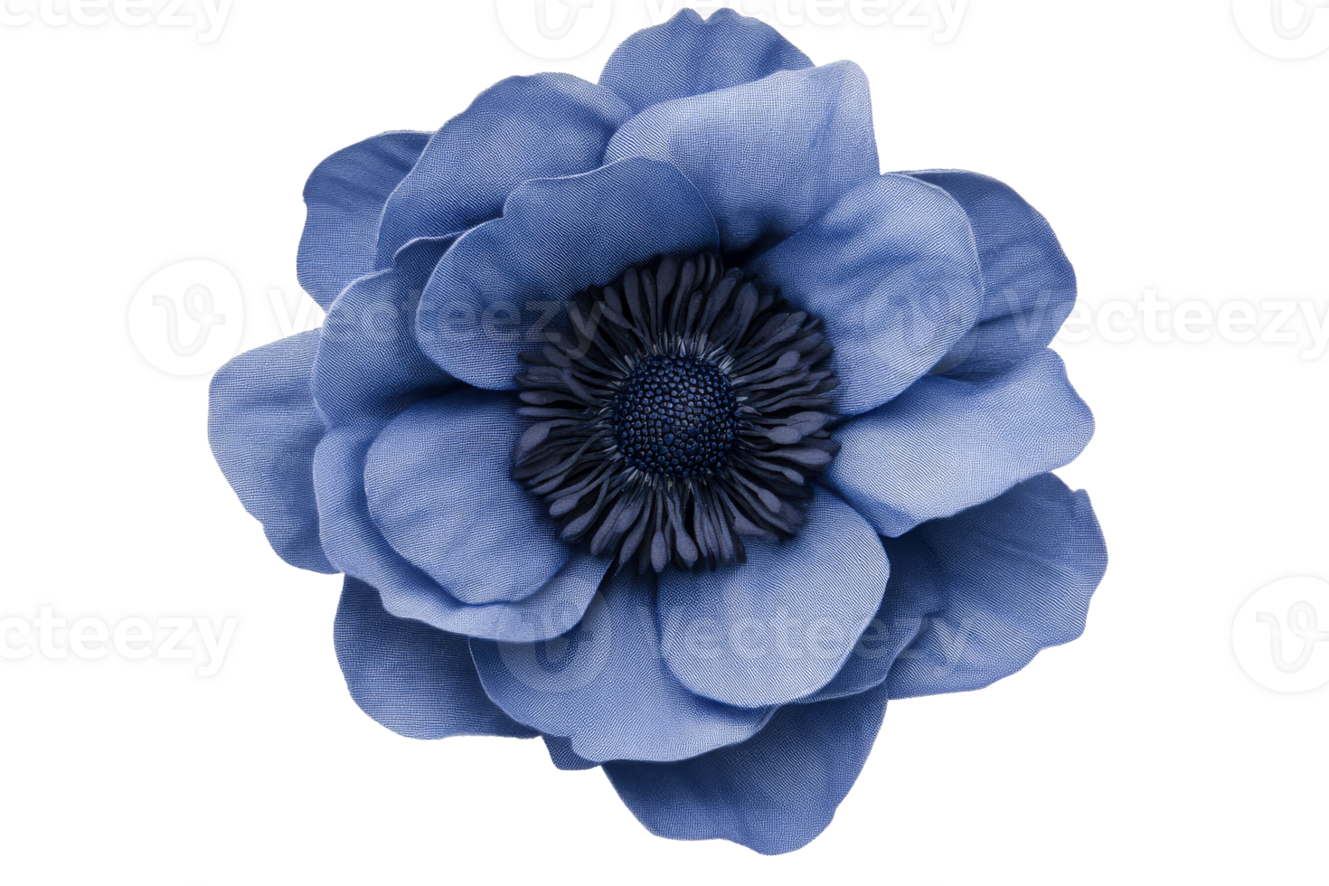 Blue flower with dark center, intricate petals detail , cut out transparent png