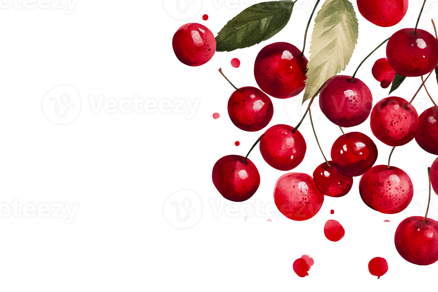 Watercolor Illustration of Ripe Cherries on Black Background, cut out transparent png