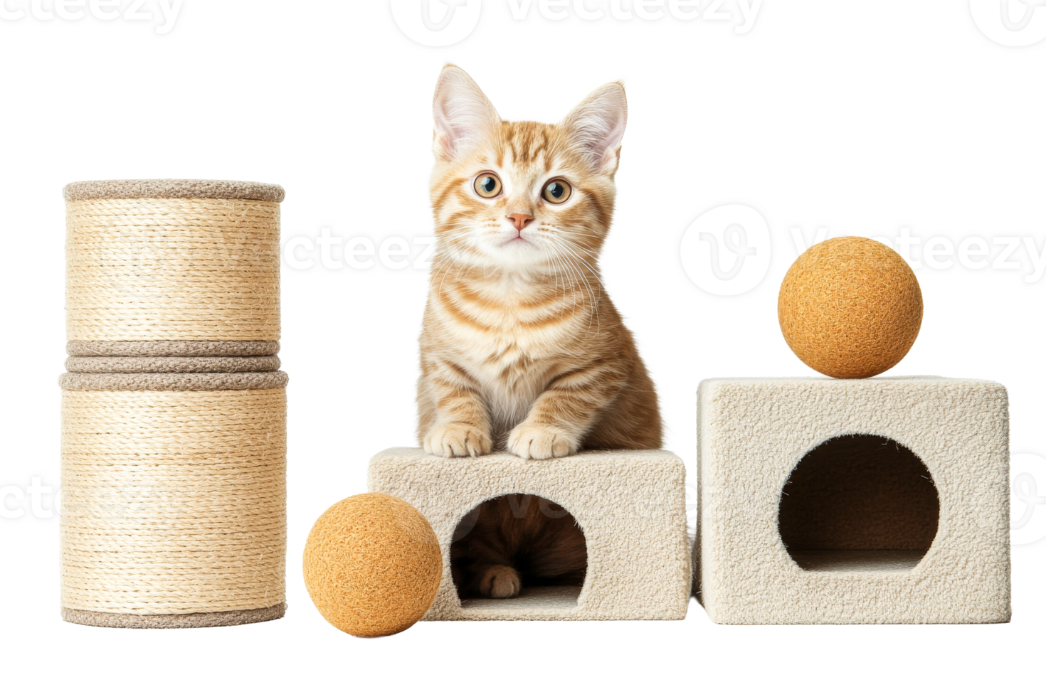 Adorable orange kitten with cat tree and toys , cut out transparent png