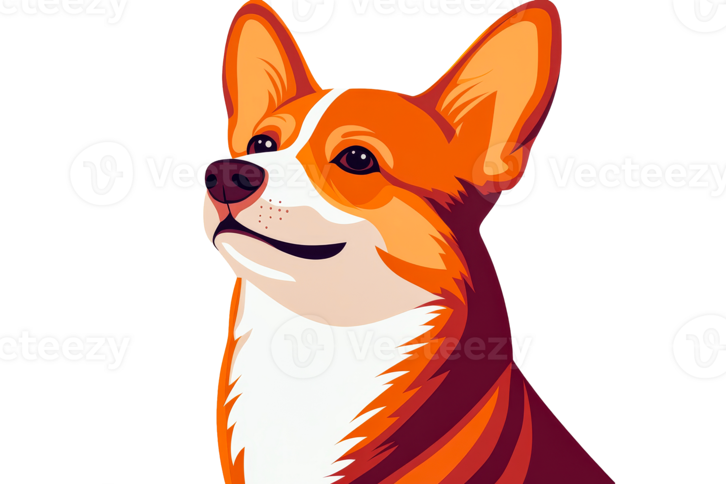 Corgi portrait art, orange and white dog isolated on black background, cut out transparent png