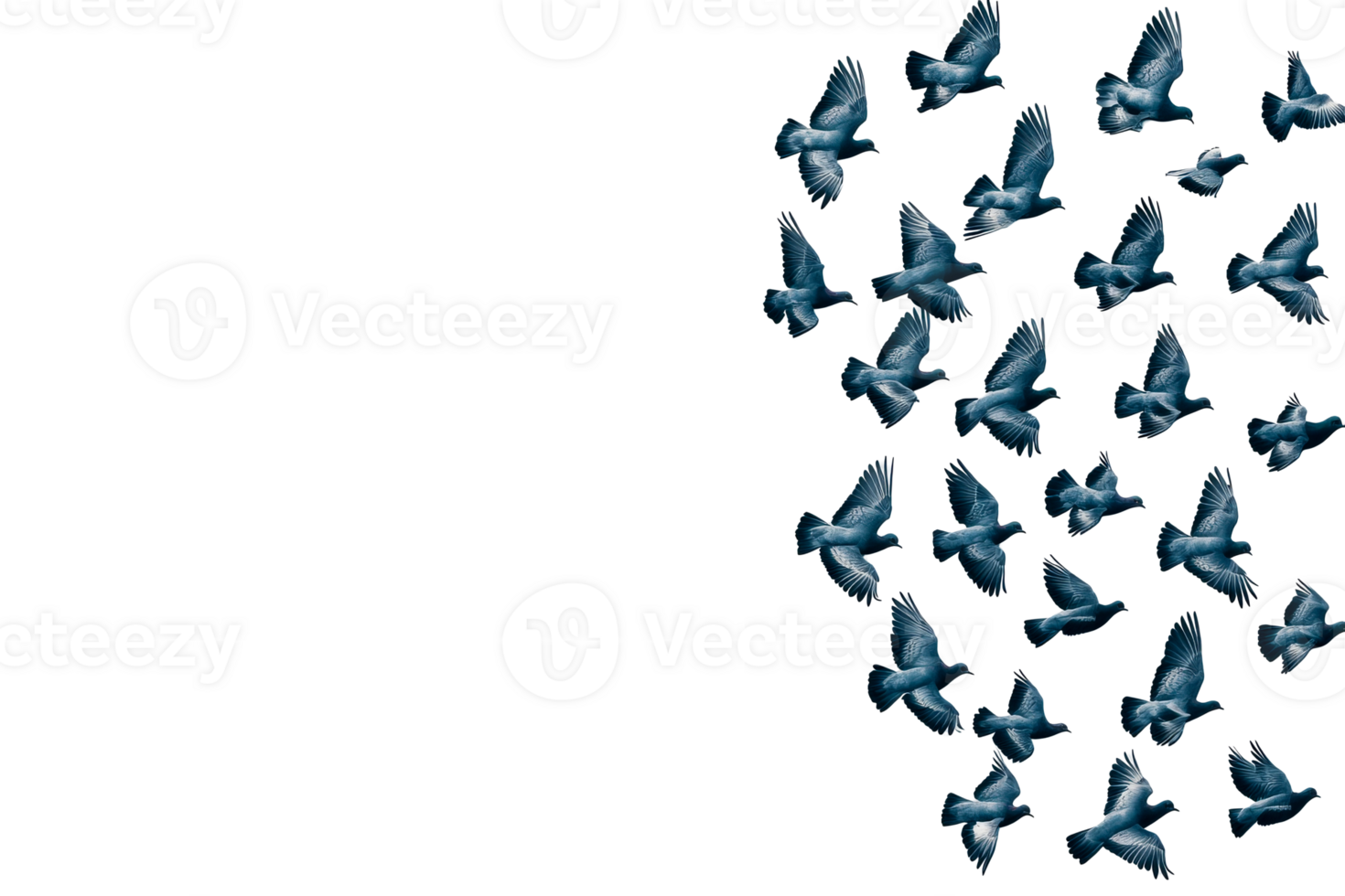 Flock of Birds in Flight Against Black Background, cut out transparent png