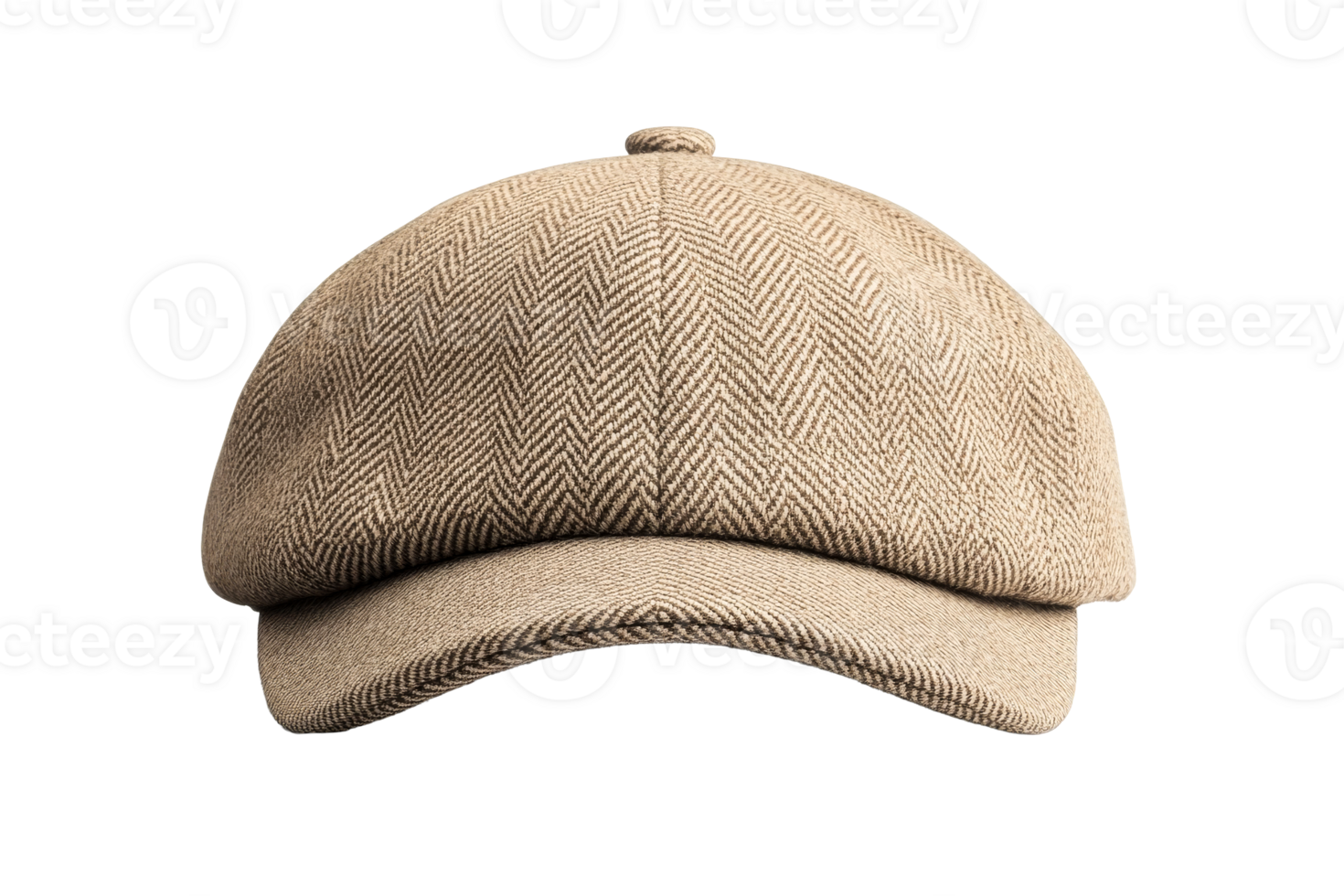 Newsboy cap with herringbone pattern, headwear accessory, cut out transparent png