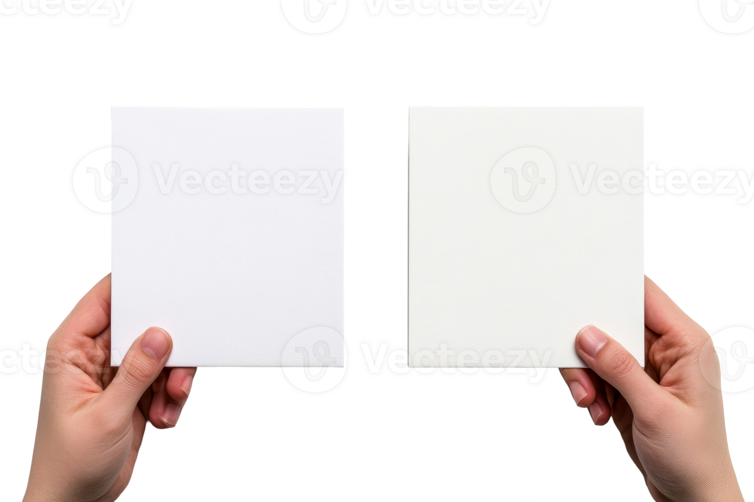 Hands holding two blank square canvases, presentation template, cut out transparent png