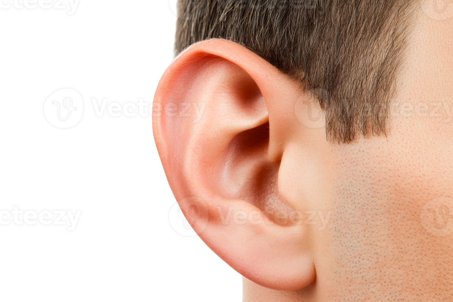 Close-up view of human ear, hair and skin, isolated on black background, cut out transparent png