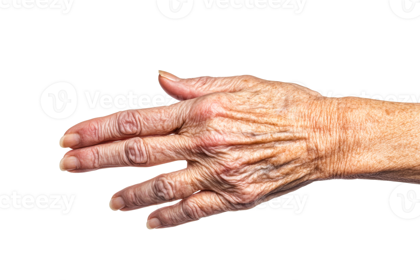Elderly hand with wrinkles and spots, skin texture details, cut out transparent png