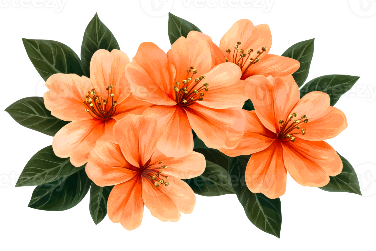 Orange flower arrangement with dark green leaves, cut out transparent png
