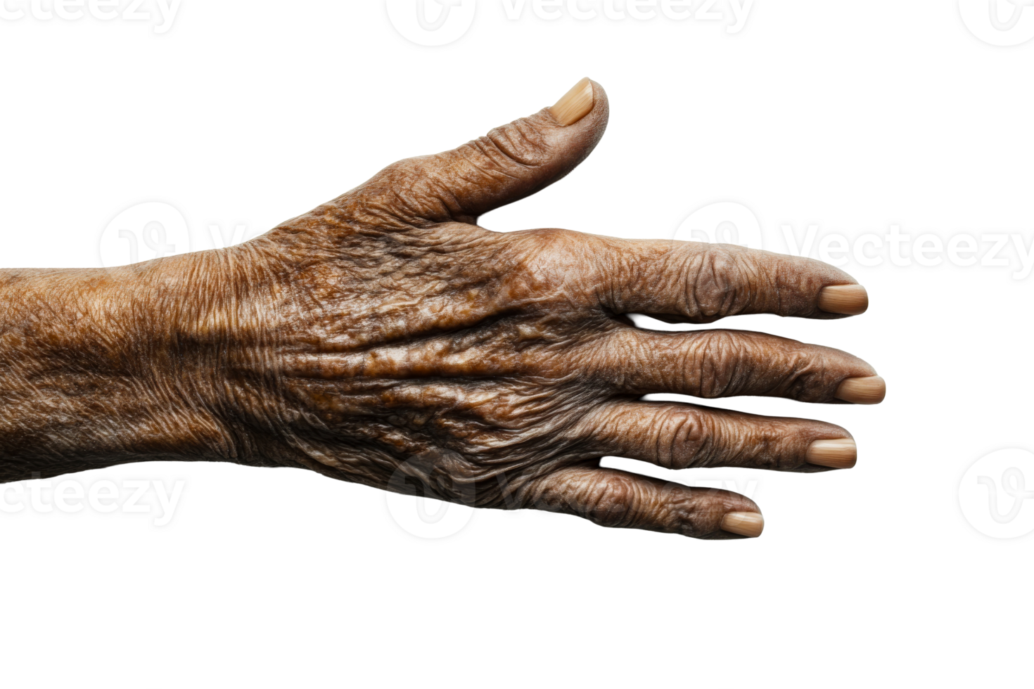 Old hand showing wrinkles and rough skin texture, cut out transparent png