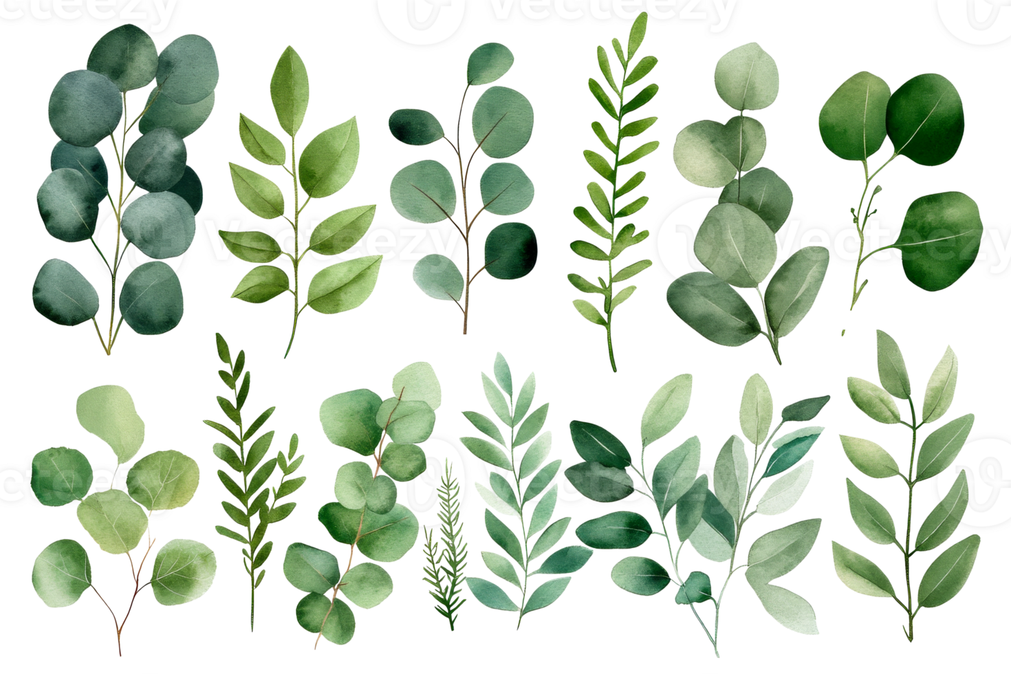 Watercolor leaves elements collection, foliage branches art, cut out transparent png