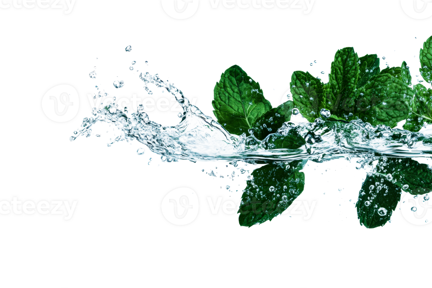 Refreshing Mint Leaves in Water Splash, cut out transparent png