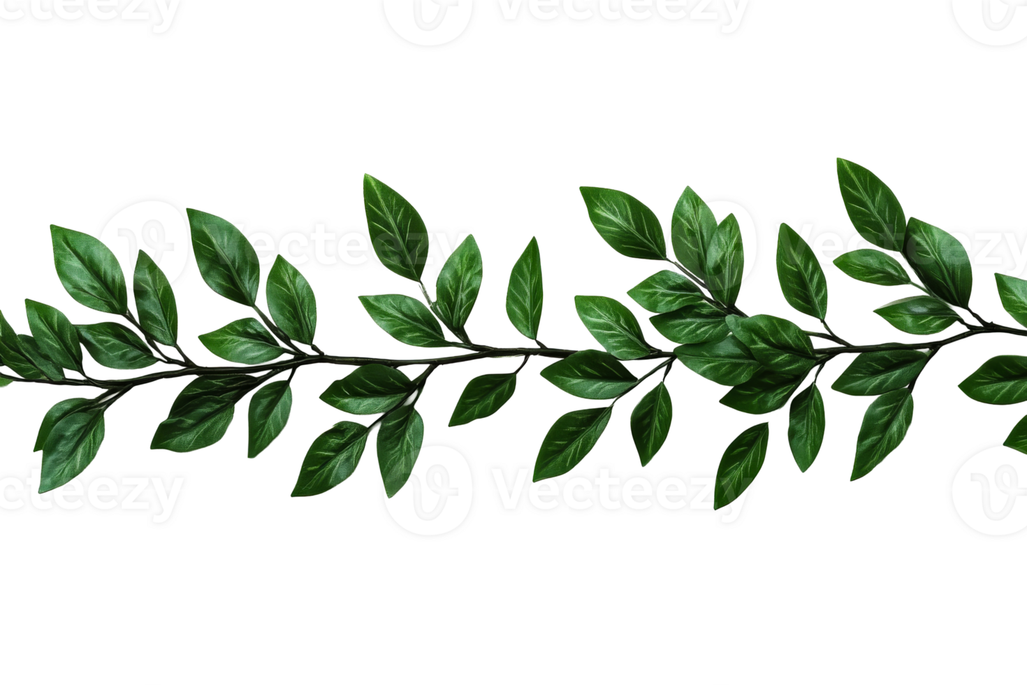 Elegant leafy branch on black background, cut out transparent png