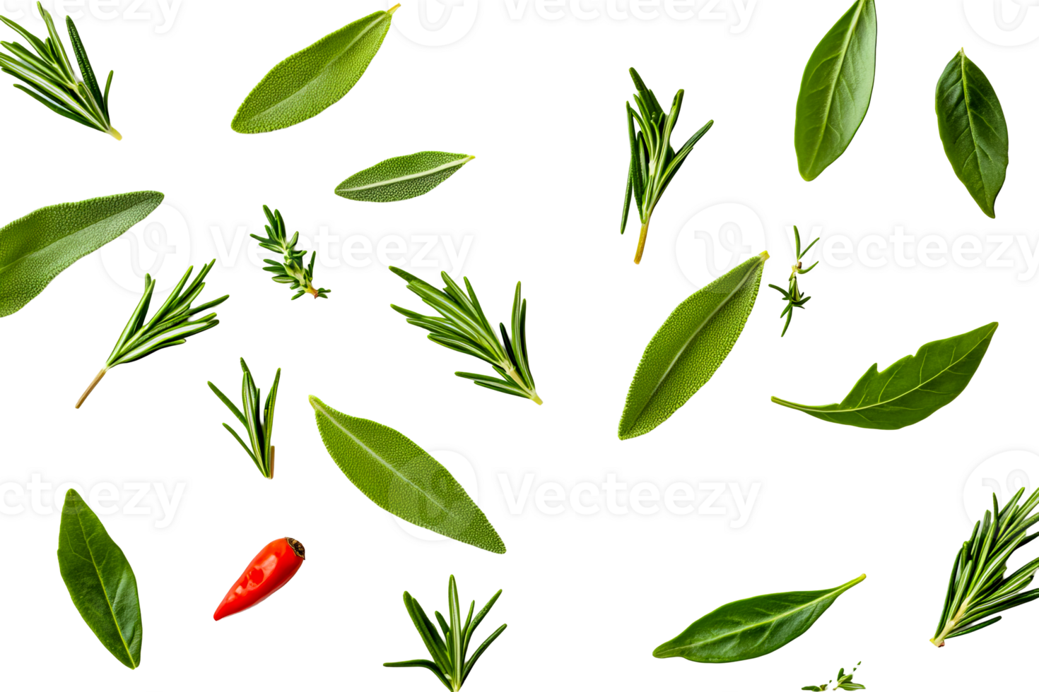 Herbs and spices black background composition , cut out transparent png