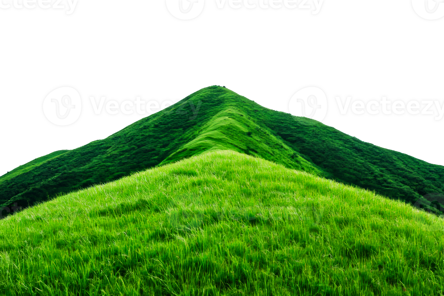 Lush Green Grass Hilltop Landscape , cut out transparent png