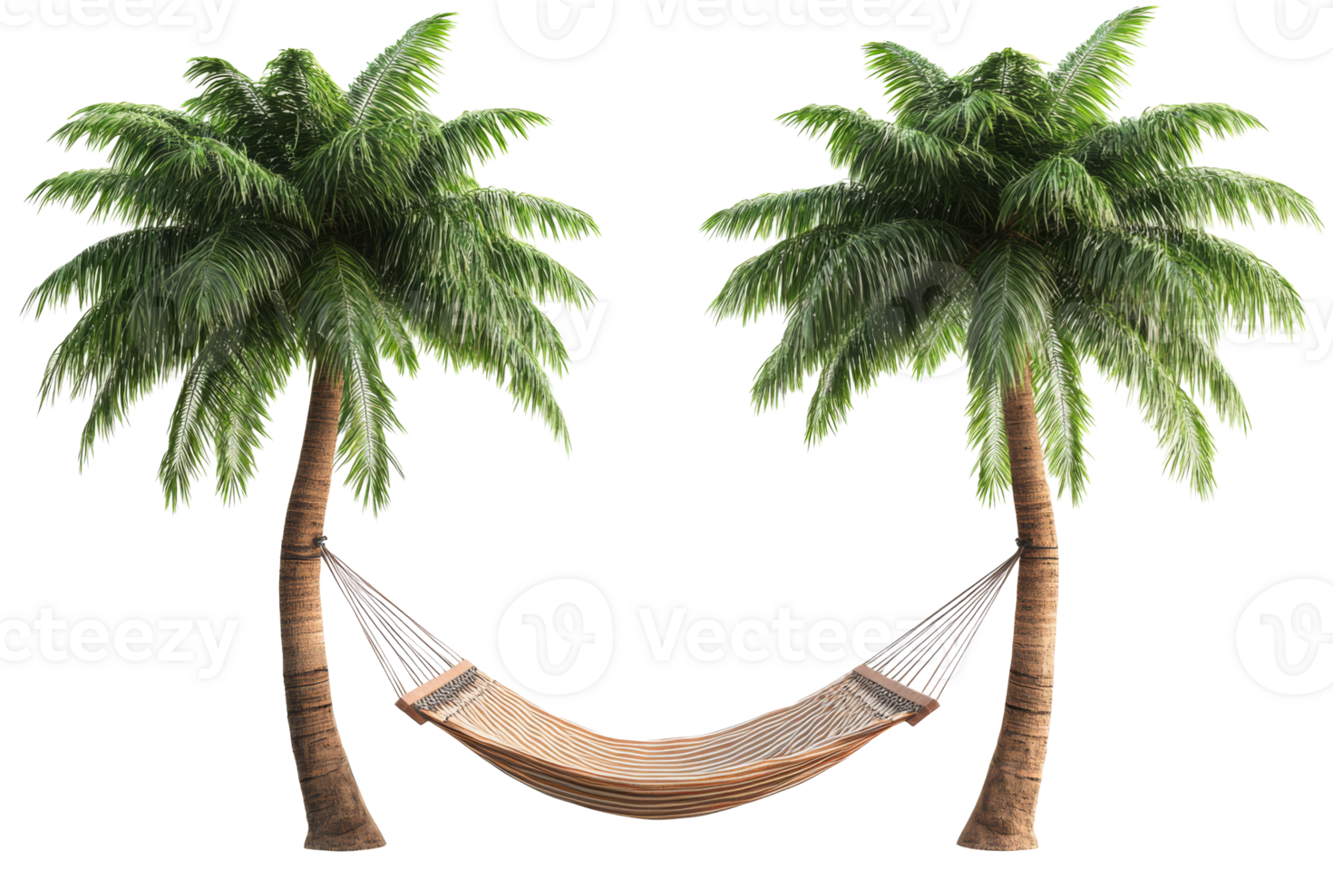 Hammock hung between palm trees for relaxation, cut out transparent png
