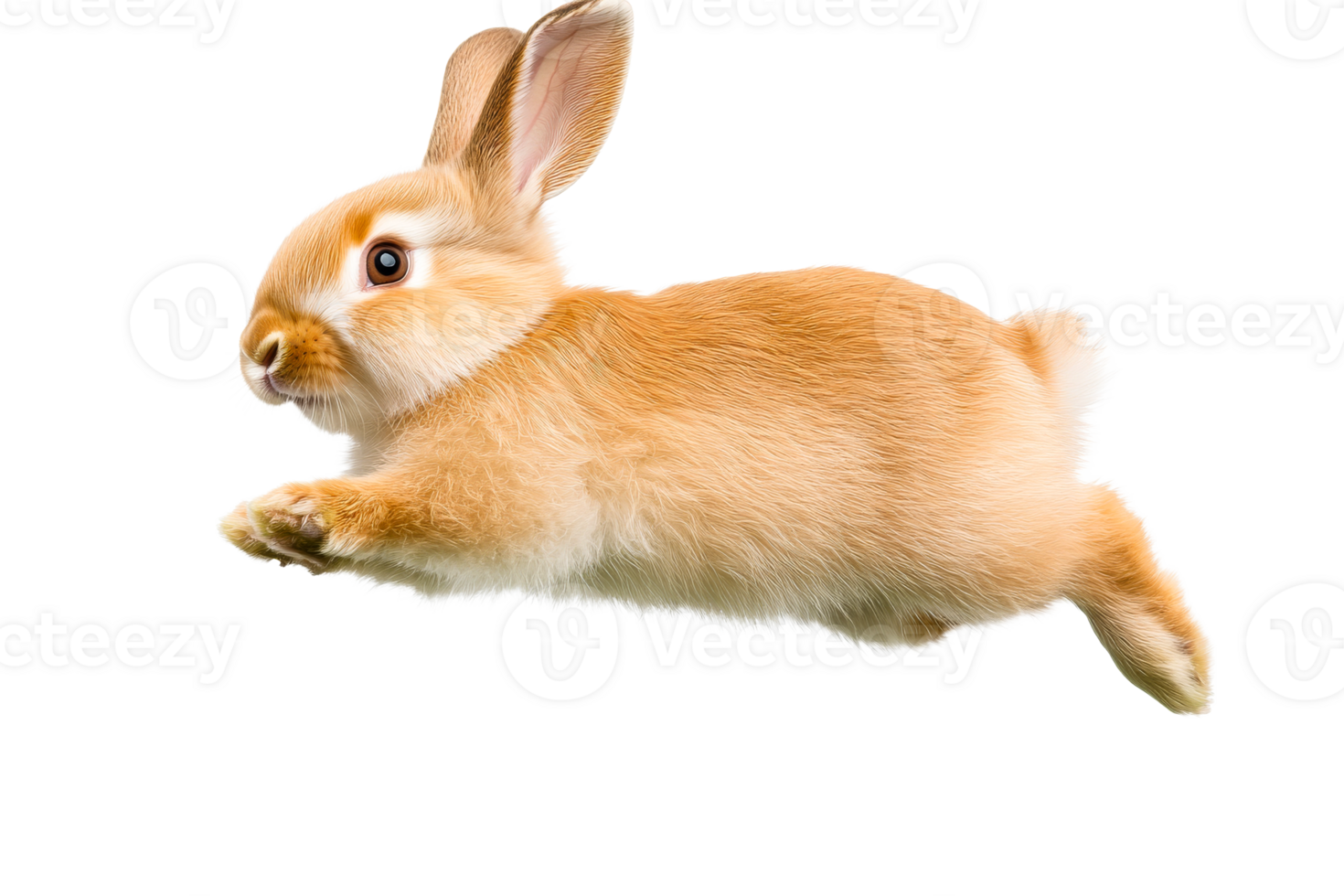 A charming ginger rabbit is jumping mid-air, cut out transparent png