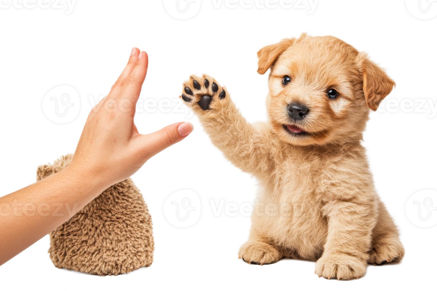 Puppy giving paw to human hand with fuzzy bag, cut out transparent png