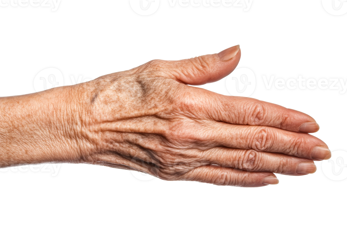 Old human hand with many wrinkles on transparent background, cut out transparent png