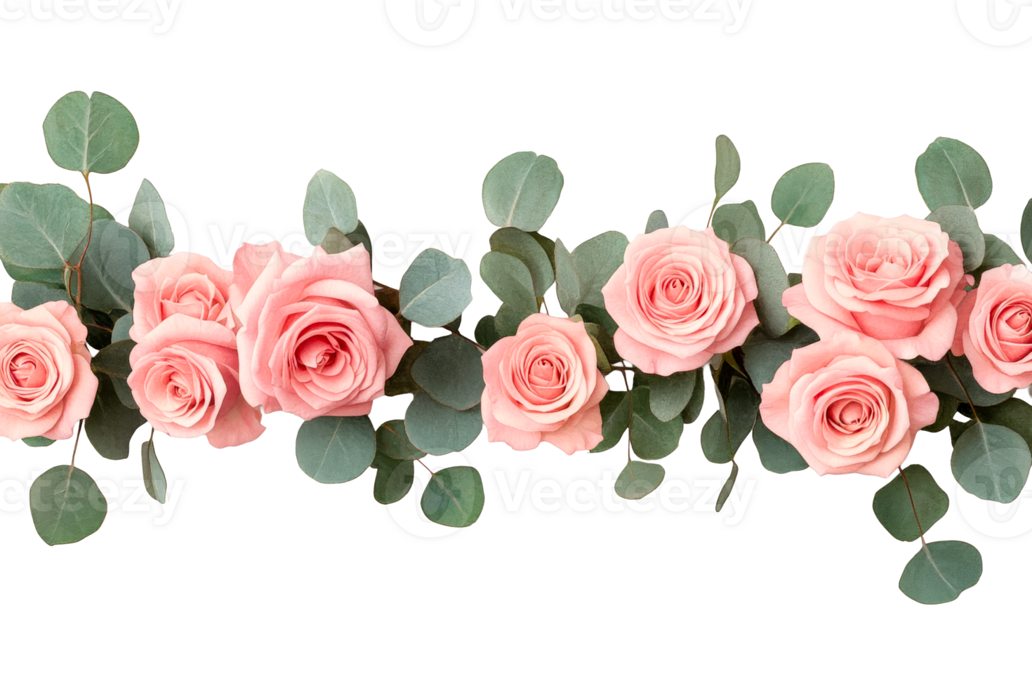 Pink roses and eucalyptus arrangement on black background, cut out transparent png
