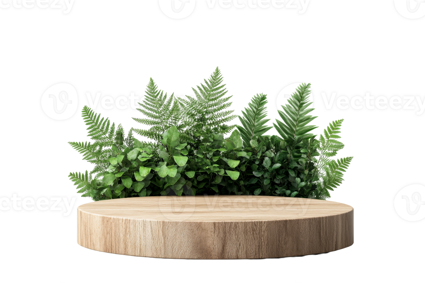 Podium with Wood Grain and Ferns, Cut Out Transparent png