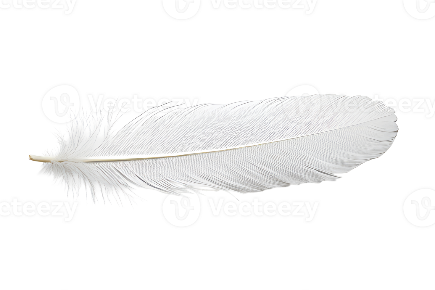 White feather isolated on black background, soft texture, cut out transparent png