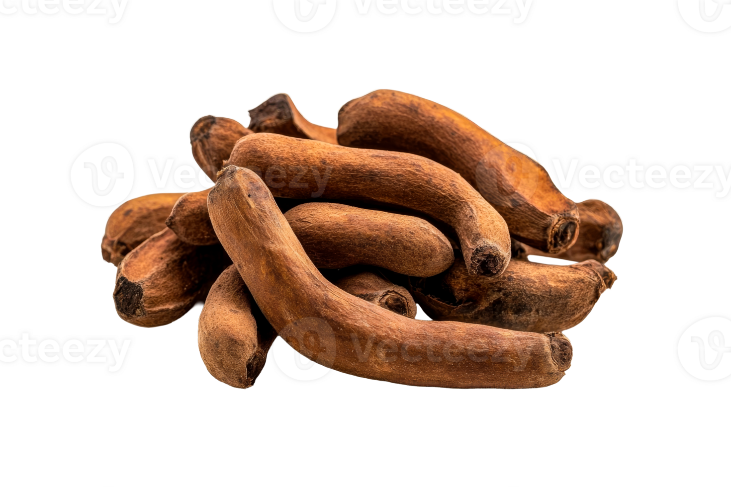 Dried tamarind pods on clear background png