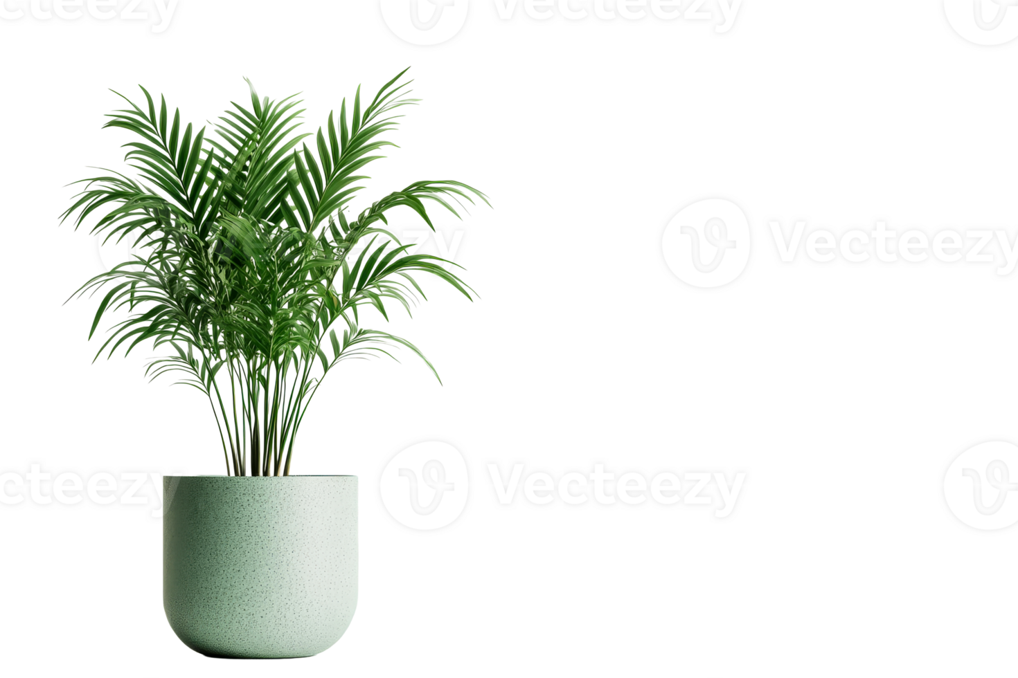 Indoor plant in minimalist pot with green leaves png