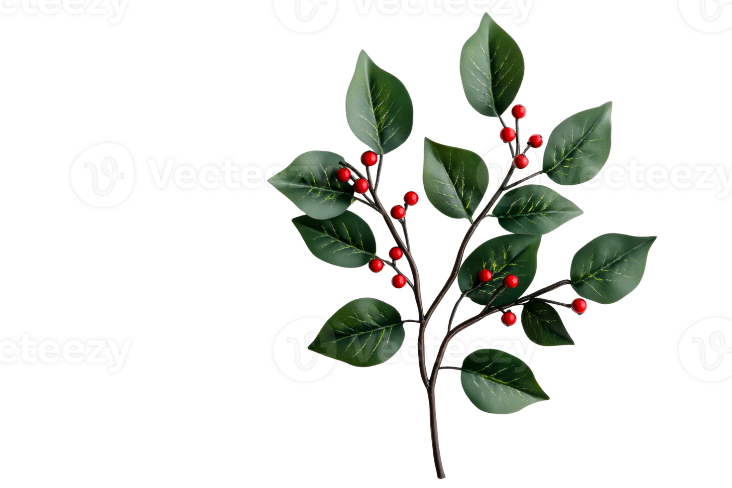 Green branch with red berries, clear bg png