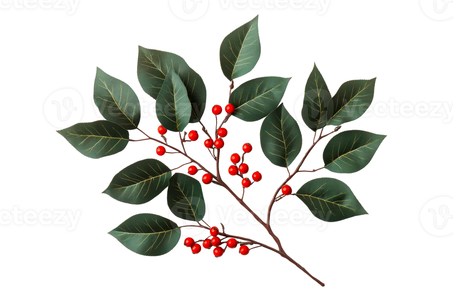 Green branch with red berries for decor png