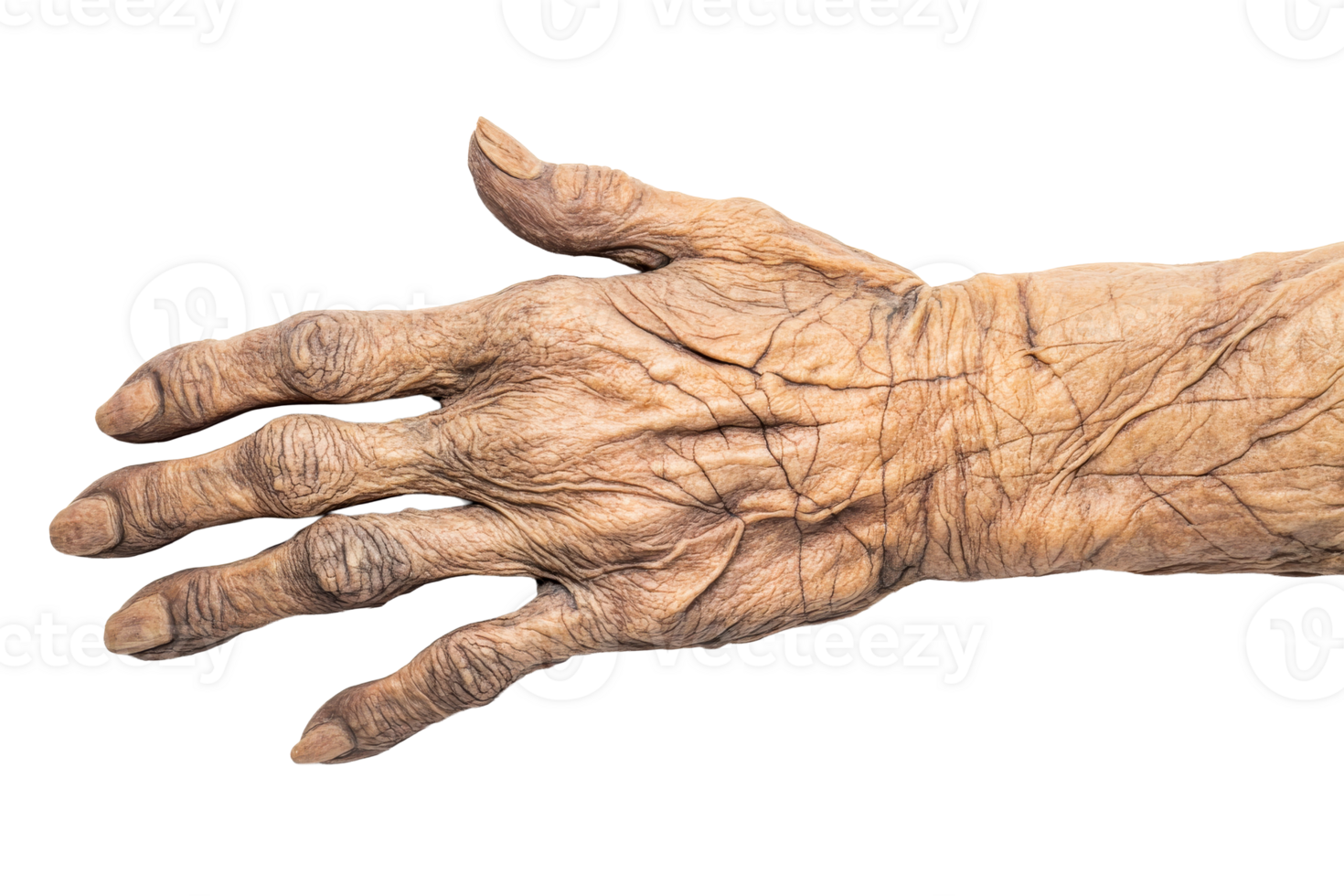 Realistic depiction of an elderly human hand png